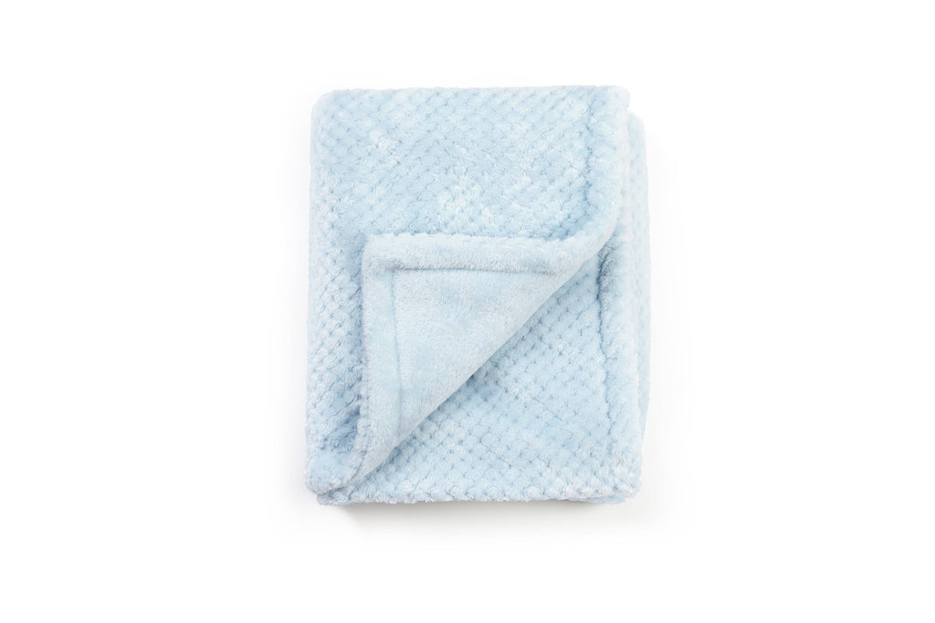 Blue Baby Blanket with Bear Plush Toy